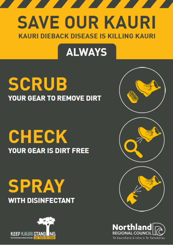Kauri dieback scrub check spray sign.