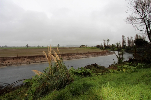 Awanui River - Flood protection work.