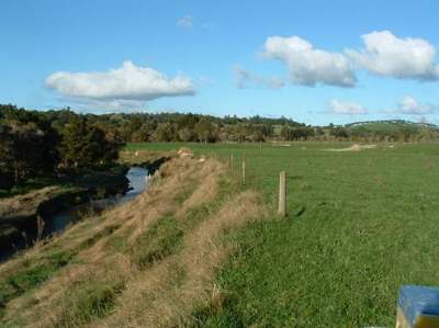 Description: Riparian fencing to exclude stock from farm waterway. 