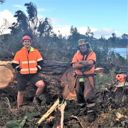Wilding pine removal boosts Lake Ngatu restoration