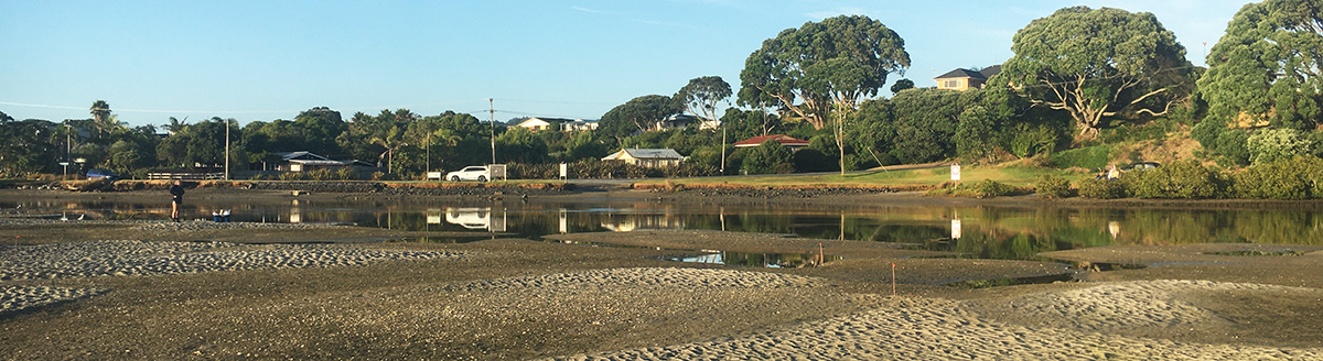 Ruakākā Estuary