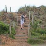Dune walkway.