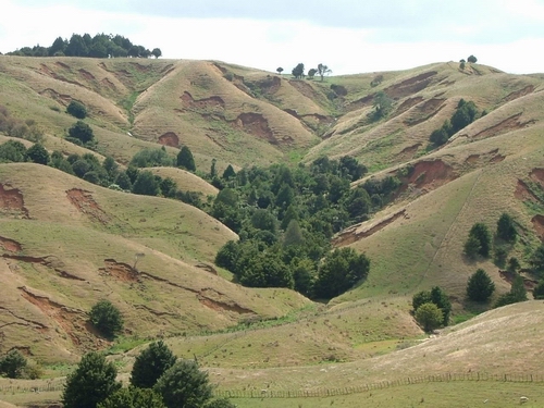 Slipping on Whangaripo clay hillsides following a major storm. 