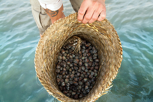 Shellfish in flax basket.