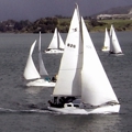 Cruise ship & harbour events calendar