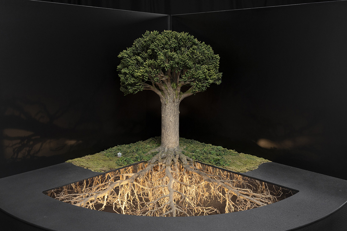 A Wētā Workshops model of a mature kauri tree.