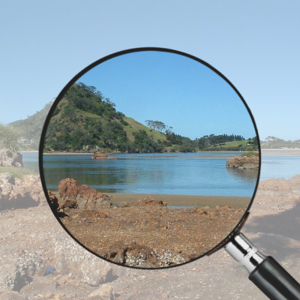 Coast Tech Reports