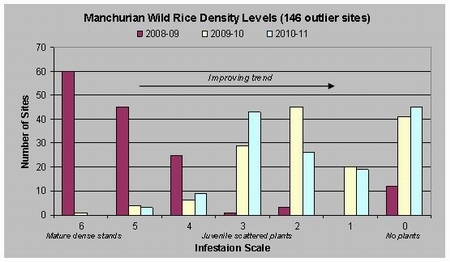 Graph showing Manchurian wild rice density levels.