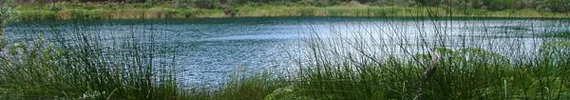 Lake Te Kahika in the Aupouri Lakes group.