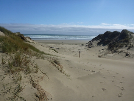 Huketere CoastCare. 