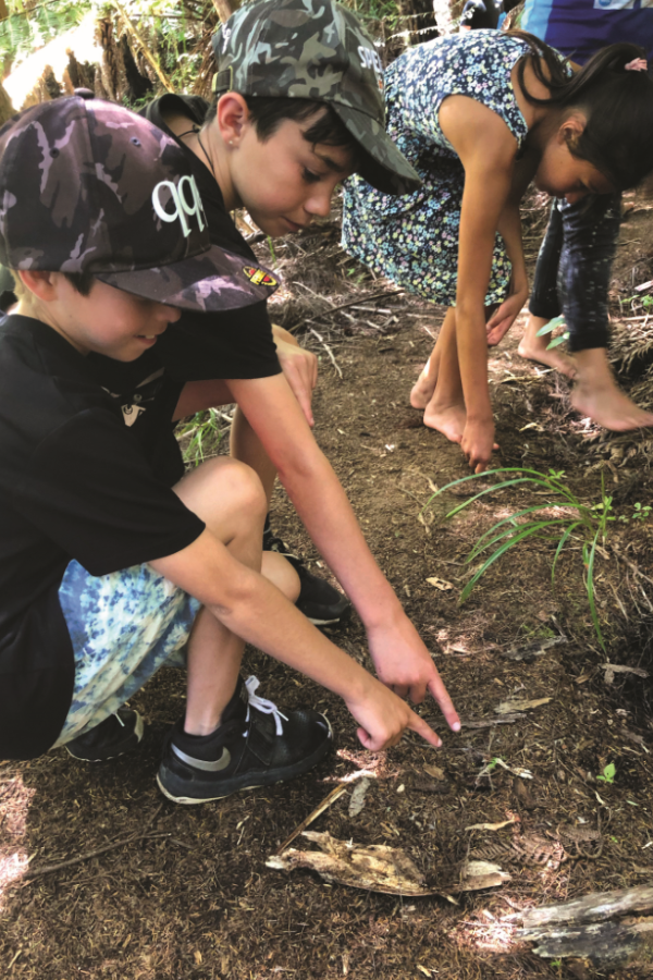 Children pointing at the ground.