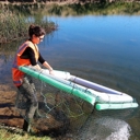 Trial to try to trap tricky turtles