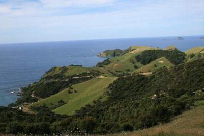 Mapping Northland’s unique coastal environment (©: Mike Farrow). 
