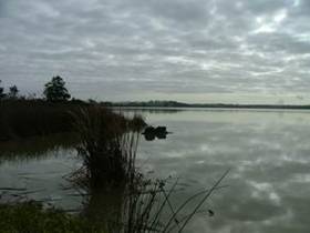 Photo of Lake Omapere.