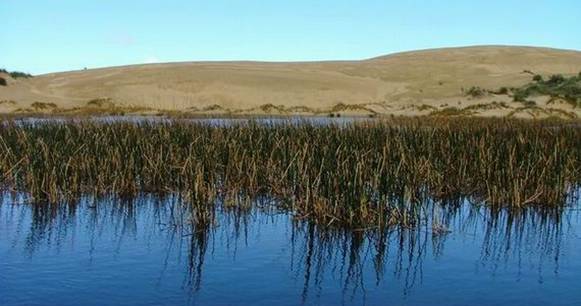 Te Paki Dune Lake.