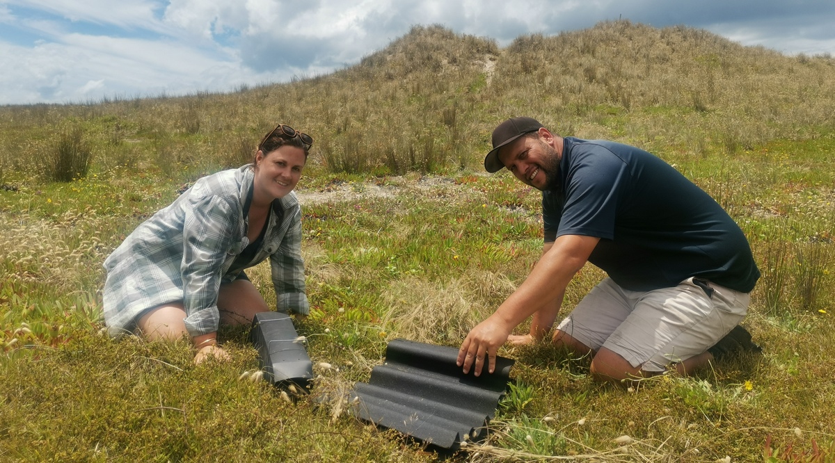 Two people on sand dunes with tracking tunnel for spiders.