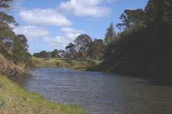 Waitangi at Watea.