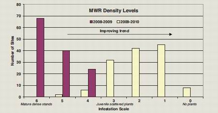 Graph - MWR Density levels.