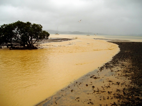 Sediment flowing into the Whangarei Harbour.