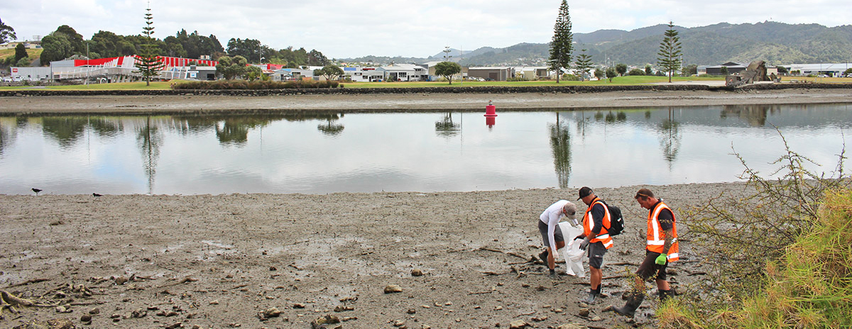 People collection litter Hātea River.