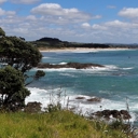 Year-long trial for ‘Bream Bay Link’ public transport service