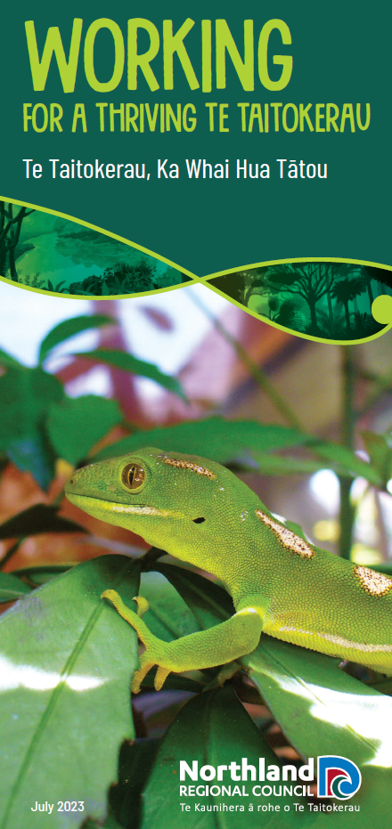 Northland rates brochure cover image gecko on a tree.