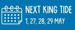 Next king tides are 1, 27, 28, 29 May 2025.