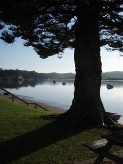 Ngunguru estuary.