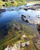 Natural causes behind some waterway ‘pollution’