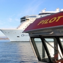 Westerdam - 2 January
