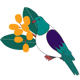 Kereru graphic.