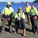 Wilding-pine project creates career opportunities for at-risk youth
