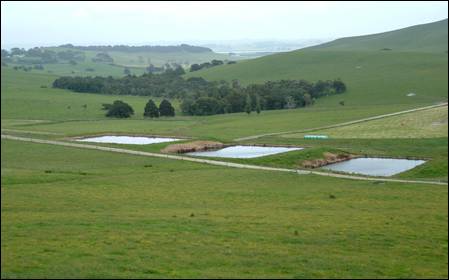 1P grade compliant farm dairy effluent treatment ponds.
