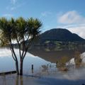 Your welfare after a flood