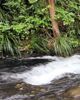 Freshwater pollution big concern for Northlanders