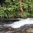 Freshwater pollution big concern for Northlanders