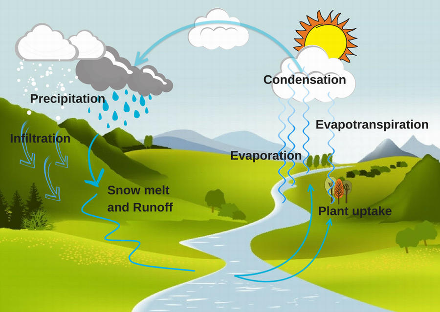 Water cycle.