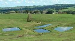 Aerial view of treatment ponds on a farm.