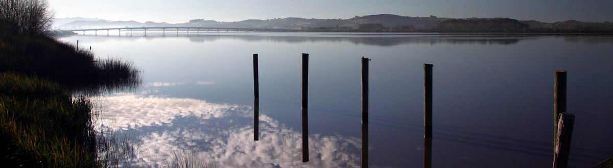 Northern Wairoa River At Dargaville (1200) (2)