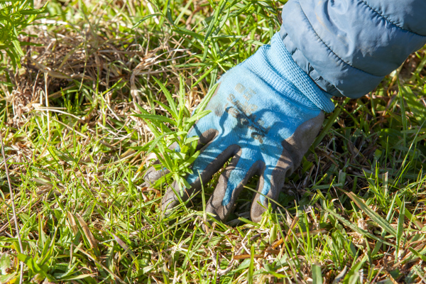 WB MG 2225 250623 RESIZE NEEDED