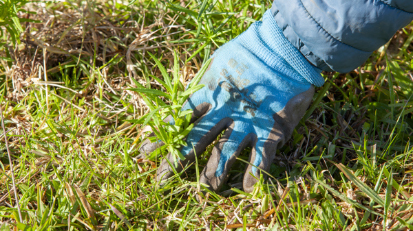 WB MG 2225 250623 RESIZE NEEDED