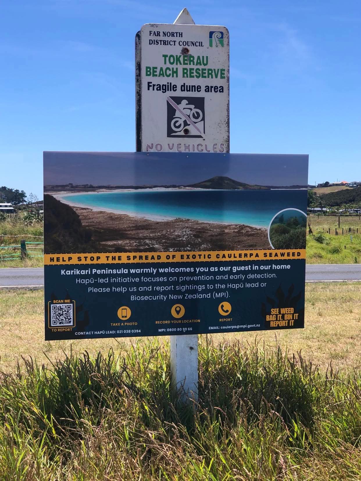 A sign about stopping the spread of exotic caulerpa seaweed.