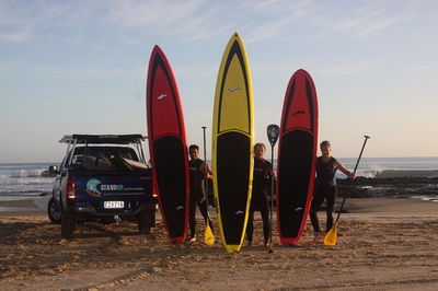 Paddleboards standing on beach.