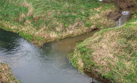 Fine sediment entering a stream.