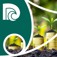 Economic Quarterly - Issue 37