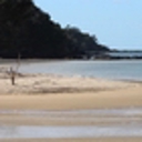 Multi-agency investigation into dieback of Ngunguru shellfish