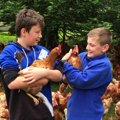 Enviroschools in Northland