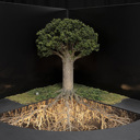 NRC ‘Talk Tent’ for field days