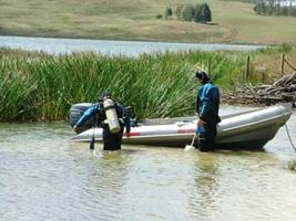 Photo of staff about to undertake lake vegetation survey in Lake Owhareiti.