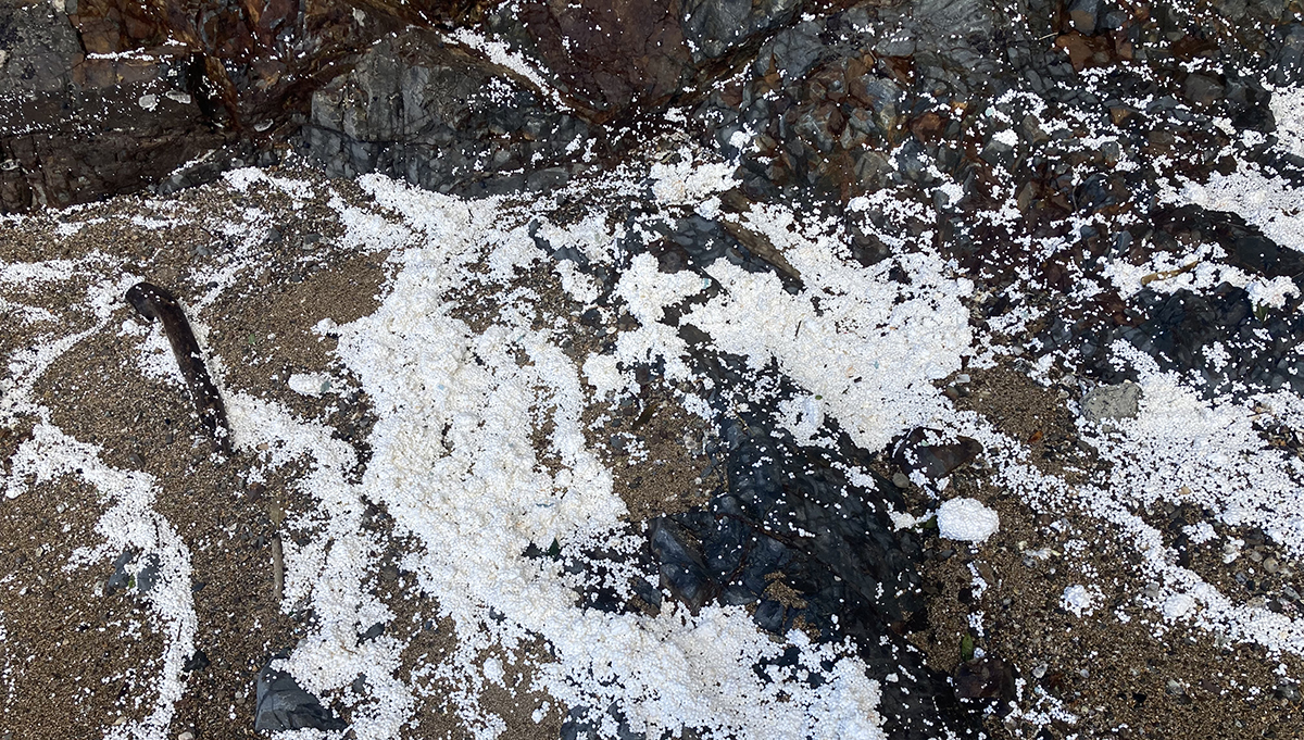 Polystyrene beads on coastal rocks.